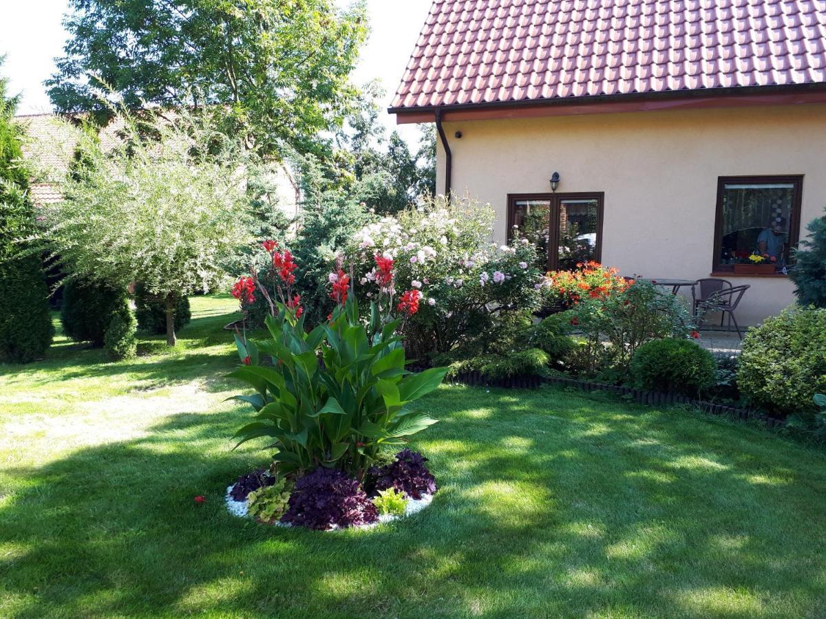 Agroturystyka Druzno 엘블라그 외부 사진