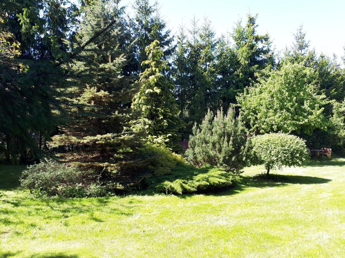 Agroturystyka Druzno 엘블라그 외부 사진